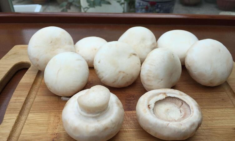 如何辨别漂白蘑菇