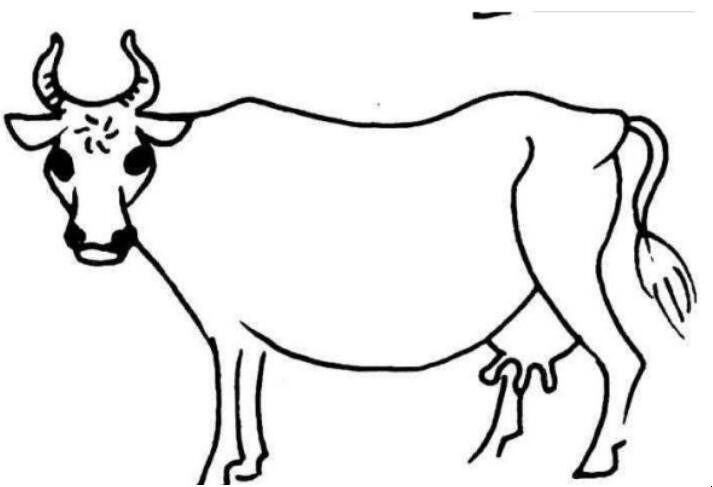 画牛怎么画