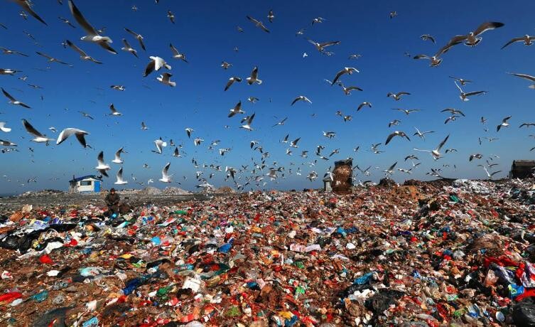 垃圾围城是什么意思，垃圾围城是什么
