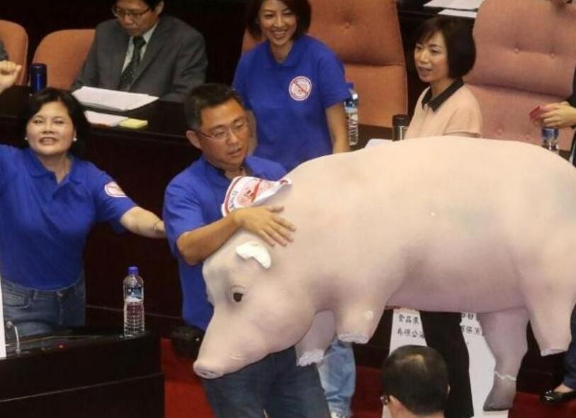 莱猪是什么，莱猪是什么,莱猪简介,莱克猪是什么,莱猪经贸,台湾莱猪集团现状,反莱猪运动进展,美国莱猪,莱猪销往大陆,莱恩猪是什么