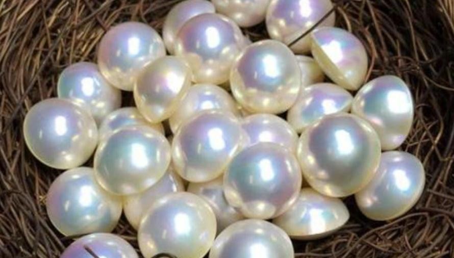 马贝珍珠形成原理是什么，怎样鉴别马贝珍珠的真假
