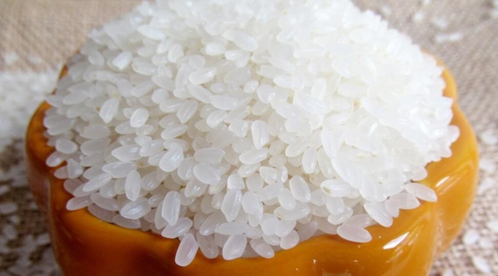 粳米是什么米，粳米是什么米和大米有区别吗