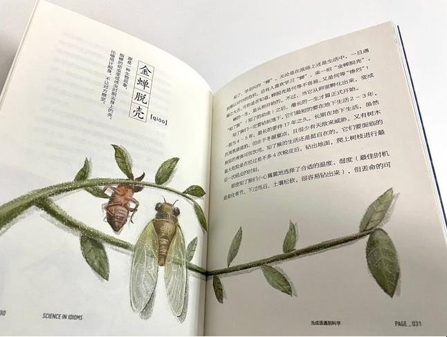《昆虫记》被誉为什么，昆虫记被誉为什么美称