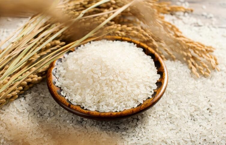 粳米是大米吗，粳米是大米吗粳米和大米的区别