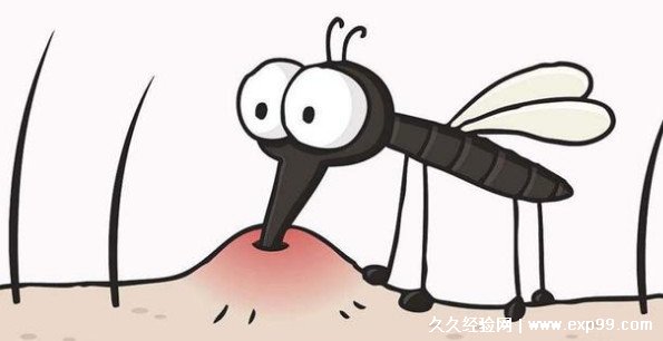 打死一只蚊子会被判多少年，并不犯法(根据刑法第341条规定)