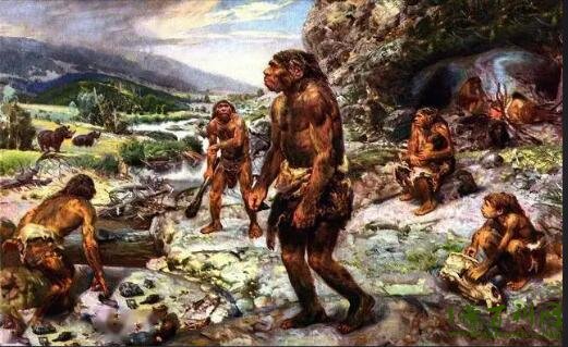世界上第一个死亡的人是谁？古猿人露西(距今300万年历史)