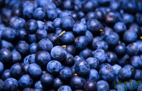 为什么蓝色的水果很少？土壤因素决定了水果颜色