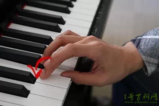 钢琴入门指法教程？手把手教你4种基础手法