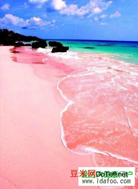 粉色沙滩在哪里 粉色沙滩在哪个国家 粉色沙滩是怎么形成的
