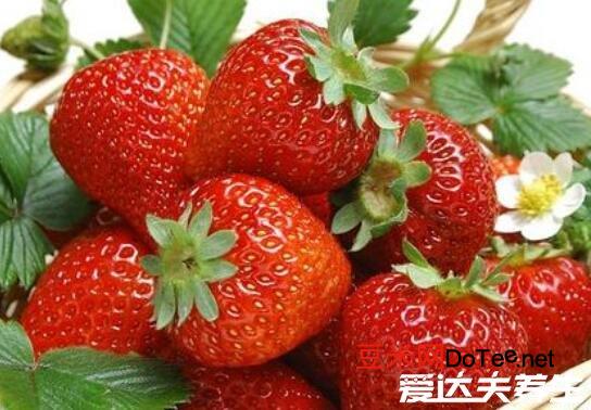 草莓是什么季节的水果？草莓是什么季节的水果?
