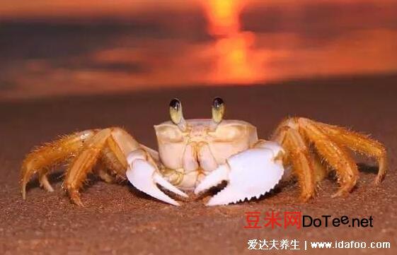 24小时之内死了的螃蟹能吃吗？12小时之内死了的螃蟹能吃吗