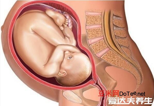 怀孕1一9月肚子变化图，第三个月开始肚子开始明显变大
