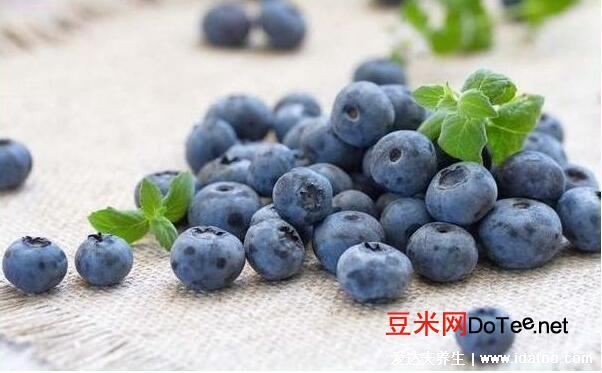 蓝莓的功效与作用禁忌，6大功效3大食用禁忌(一次10-20颗最佳)