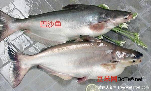 巴沙鱼和龙利鱼的区别？巴沙鱼和龙利鱼的区别的营养价值