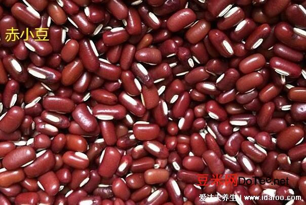 赤小豆是什么和红豆的区别，赤小豆的功效作用及食用方法(图片)