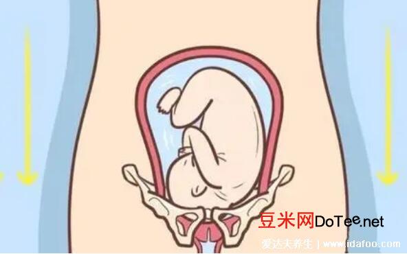 孕妇耻骨在哪个位置示意图片，大腿跟内侧有骨头的地方(附缓解法)