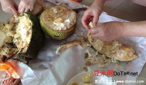 菠萝蜜的胶粘在手上怎么洗掉？菠萝蜜的胶粘在刀上怎么洗掉