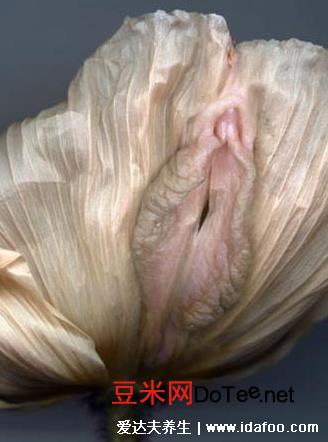 不同形状的女人阴道图片，第5种鲱鱼子型阴部被称之为绝品