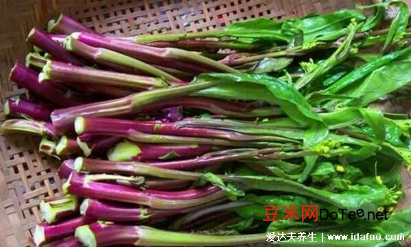 红菜苔的功效和禁忌，红菜苔性温还是性寒(寒性腹泻不能吃)
