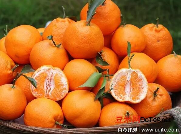 四川耙耙柑怎么念与丑橘的区别是什么？谐音趴趴甘(和丑橘有三大区别)
