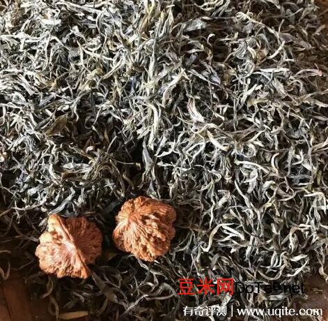 最新老树生普洱茶的价格多少钱一斤？2022最低为800元一斤