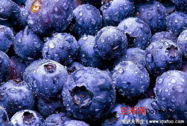 蓝莓怎么洗才干净，可用盐水/淀粉洗注意清洗不要用力（白霜可食用）