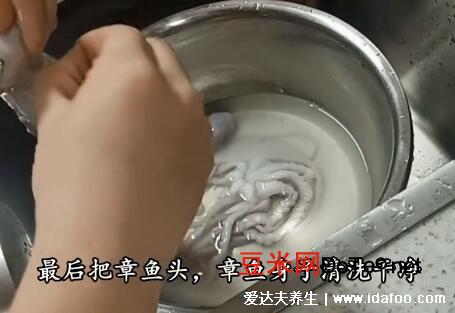 八爪鱼怎么清洗，从去除黏液到去除内脏都要注意(附清洗视频)