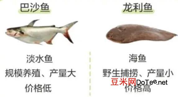 龙利鱼和巴沙鱼的区别，注意市场上难见到整条巴沙鱼(4点不同)
