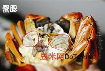螃蟹哪些部位不能吃详细解说视频，螃蟹哪些部位不能吃？？