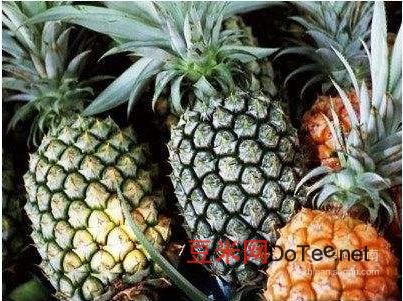 菠萝和凤梨的区别图，菠萝和凤梨的区别？