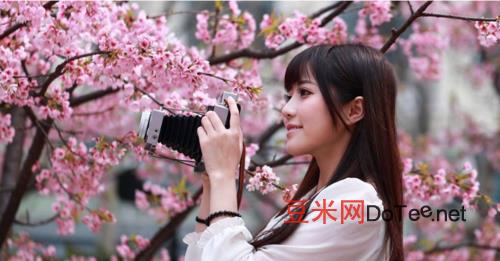 中國十大賞櫻花景點排名榜最新，盤點國內十個賞櫻花的好去處