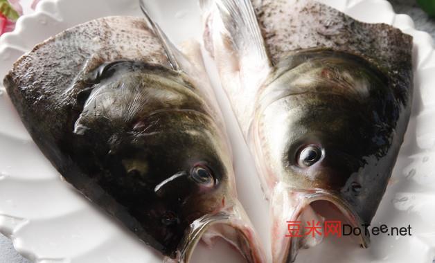 热带鱼生产前什么症状 热带鱼病症状及防治