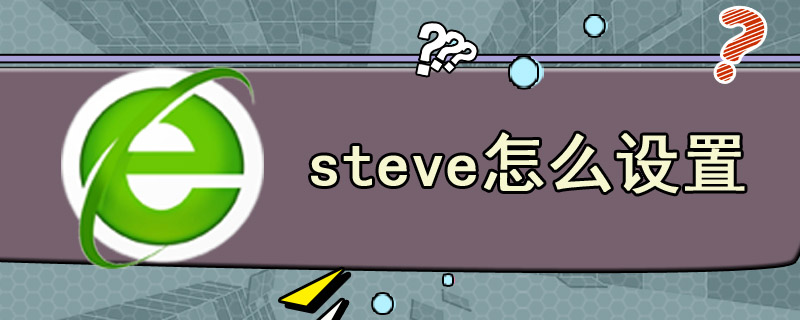 steve怎么设置