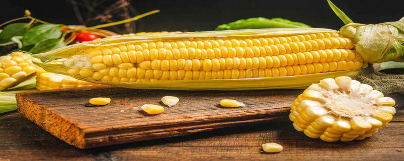 金银玉米和甜玉米的区别(金银玉米和甜玉米的区别图片)