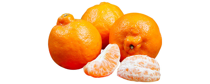 丑橘能吃到几月份(丑橘几月份吃口感最好)