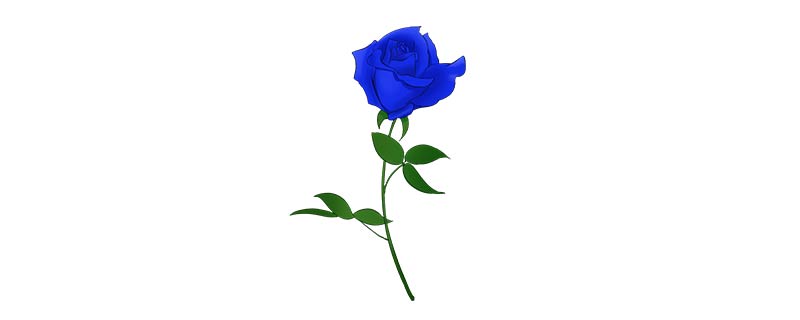 蓝色玫瑰代表着什么/