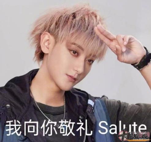 我向你敬礼salute是什么意思 我向你敬礼salute梗出处来源介绍