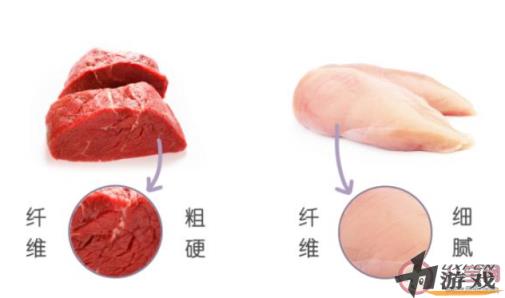 下列哪种肉类属于我们通常所说的白肉 蚂蚁庄园11月15日答案