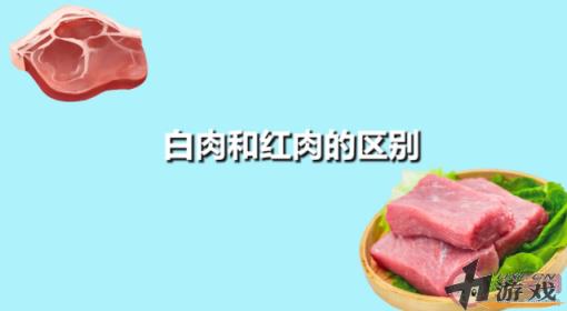 下列哪种肉类属于我们通常所说的白肉 蚂蚁庄园11月15日答案