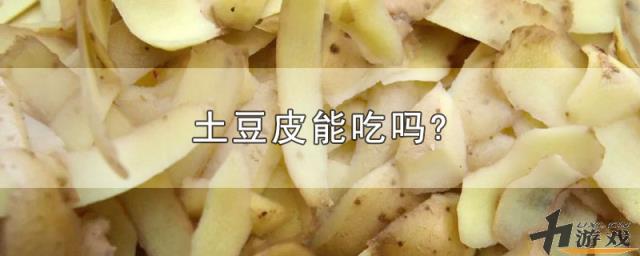 土豆皮能吃吗?，土豆皮能吃吗有营养吗