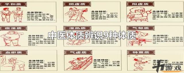 中医体质辨识9种体质，中医体质辨识9种体质图