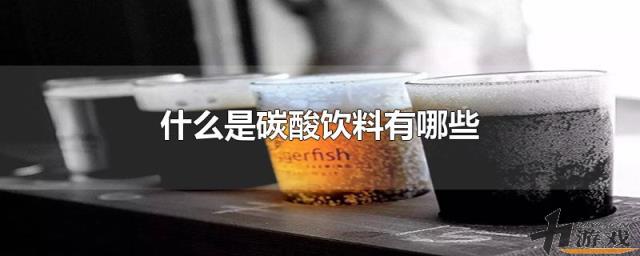 什么是碳酸饮料有哪些，什么是碳酸饮料有哪些危害