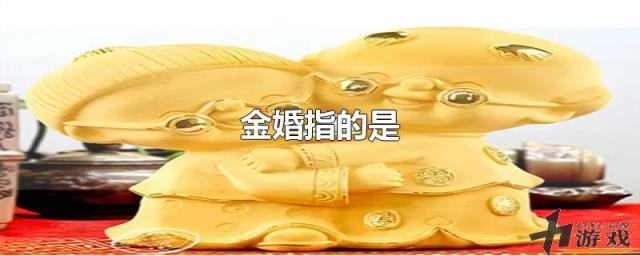 金婚指的是，金婚指的是多少年?