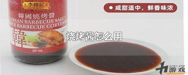 烧烤酱怎么用，买的烧烤酱怎么用