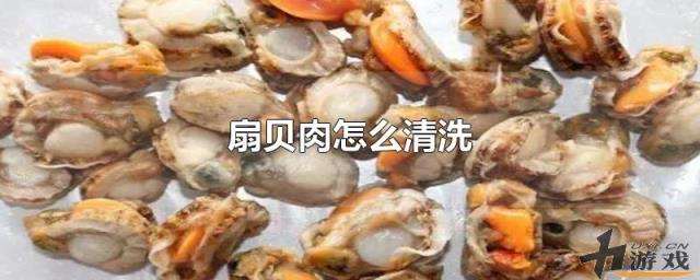 扇贝肉怎么清洗，扇贝肉怎么清洗内脏