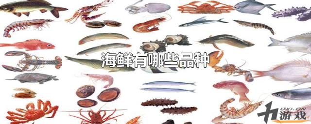 海鲜有哪些品种，海鲜都有什么