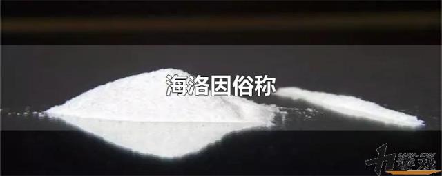 海洛因俗称，海洛英俗称四号