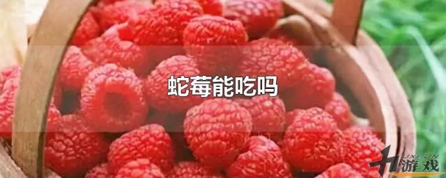 蛇莓能吃吗，蛇莓能吃吗?