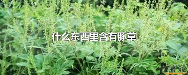 什么东西里含有豚草，什么东西里含有豚草花粉