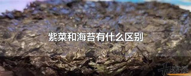 紫菜和海苔有什么区别，紫菜和海带有什么区别